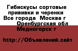 Гибискусы сортовые, прививки и черенки - Все города, Москва г.  »    . Оренбургская обл.,Медногорск г.